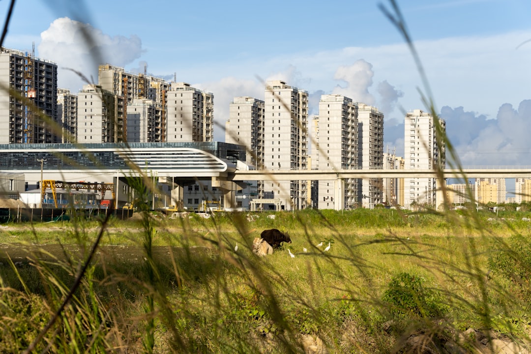 white high rise building near green grass field during daytime