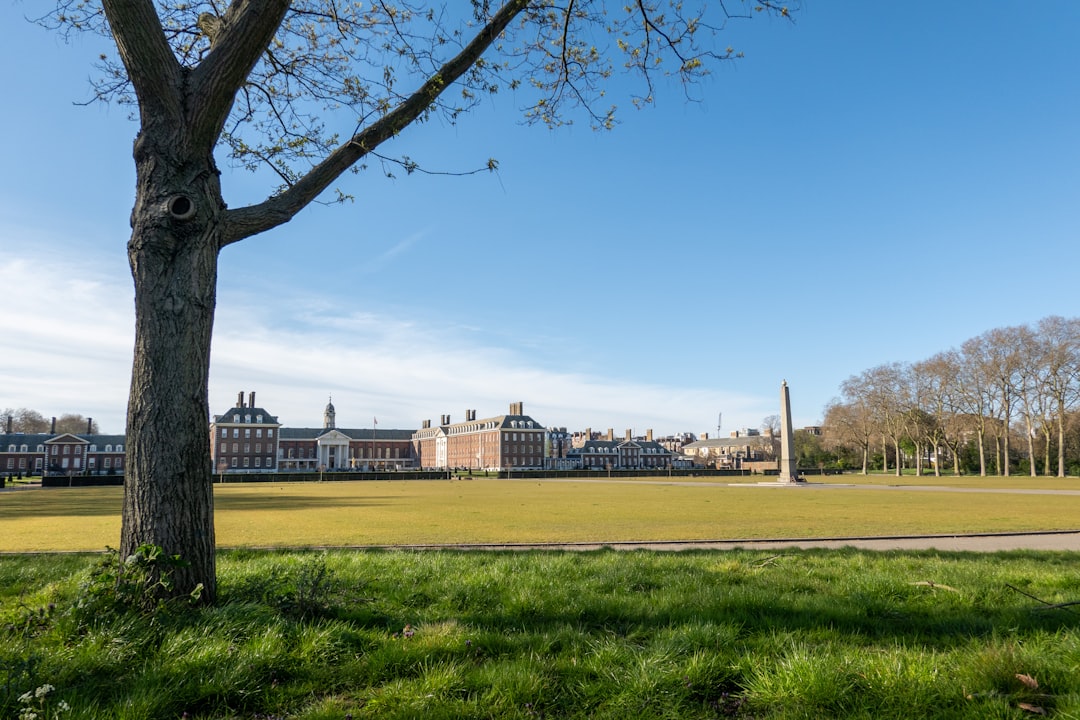 a large grassy field with a tall building in the background