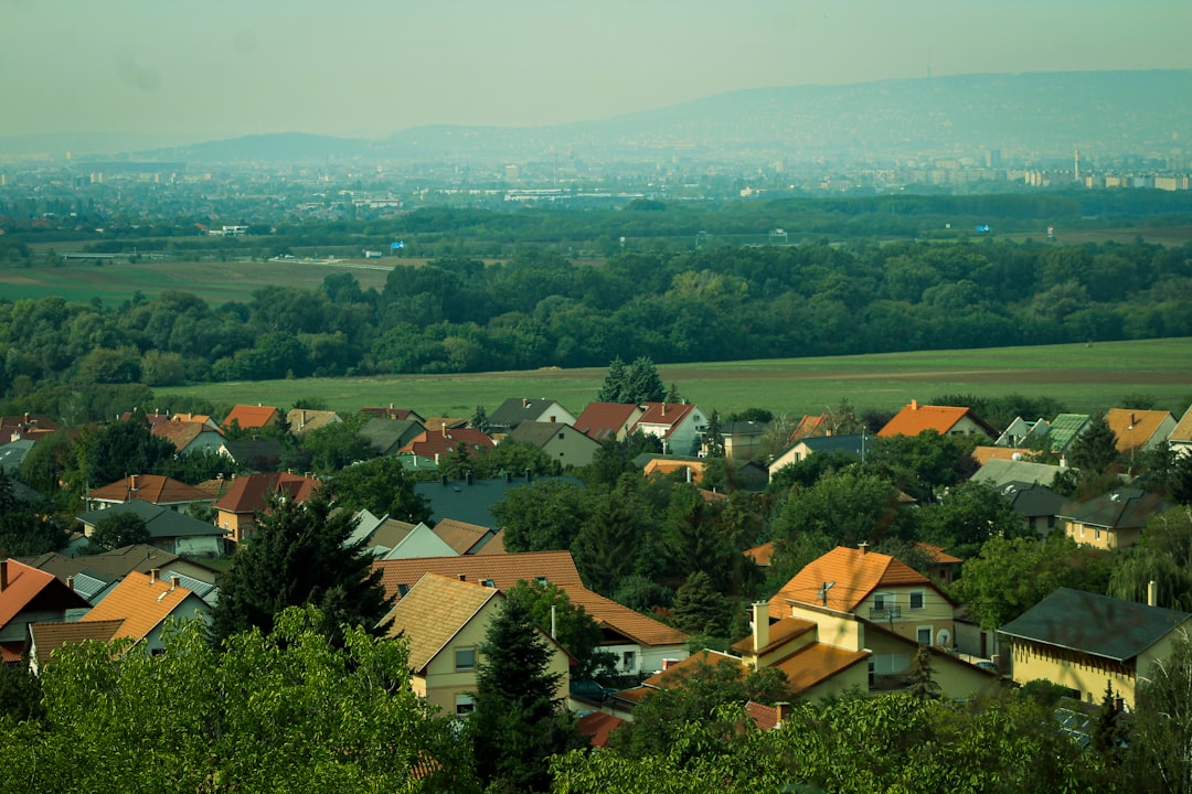 A village nestled among green trees with a distant city.