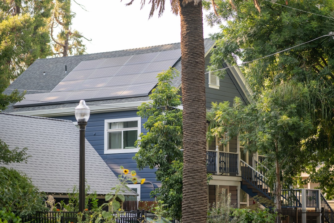 A blue house surrounded by trees and plants