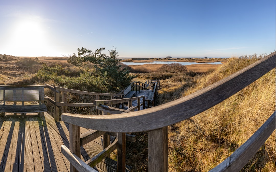 Wooden boardwalk leading through coastal dunes to water.