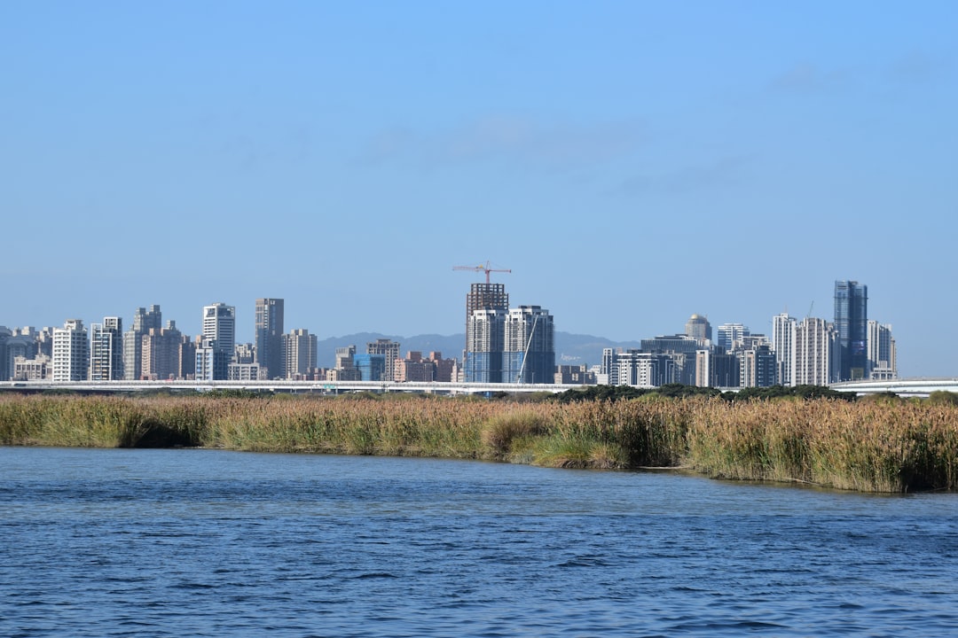 City skyline across a calm body of water with reeds.